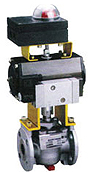 Automated Plug Valves
